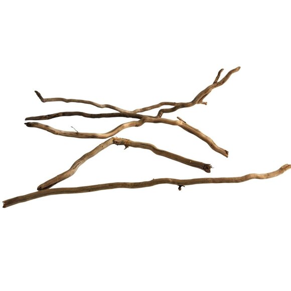 Natural Driftwood Pieces For Crafting & Home Decor 5 pieces - Picture 1 of 11